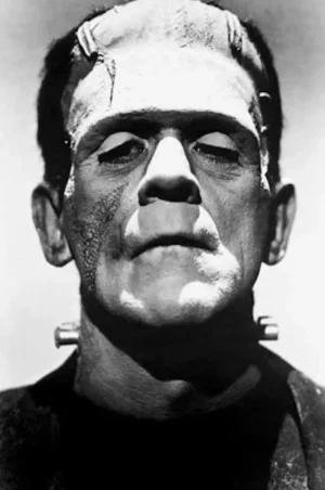 Posters Wholesale Artwork*Frankenstein Monster Poster