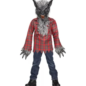 Fun World Children'S Costumes*Silver And Grey Werewolf Child Costume