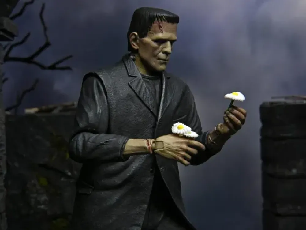 Neca Action Figures*Ultimate Frankenstein Action Figure 7 Inch - Monster (Color)